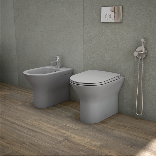 RAK-Feeling Rimless Back to Wall Pan and soft close seat in Matt Grey